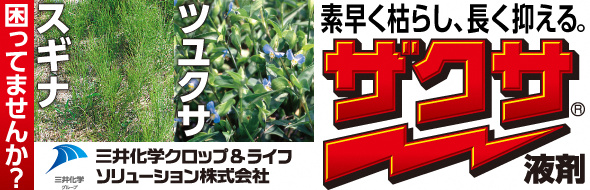 三井クロップ